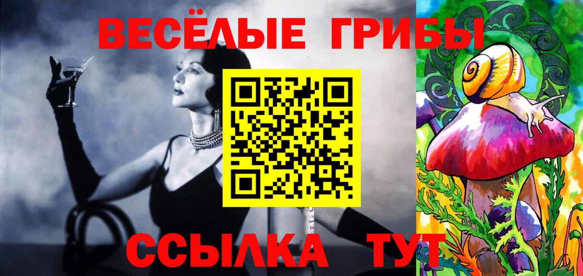 Галлюциногенные грибы мицелий  Вход с VPN  Альметьевск 