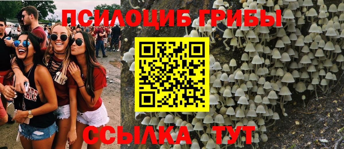 Псилоцибиновые грибы Magic Shrooms Альметьевск